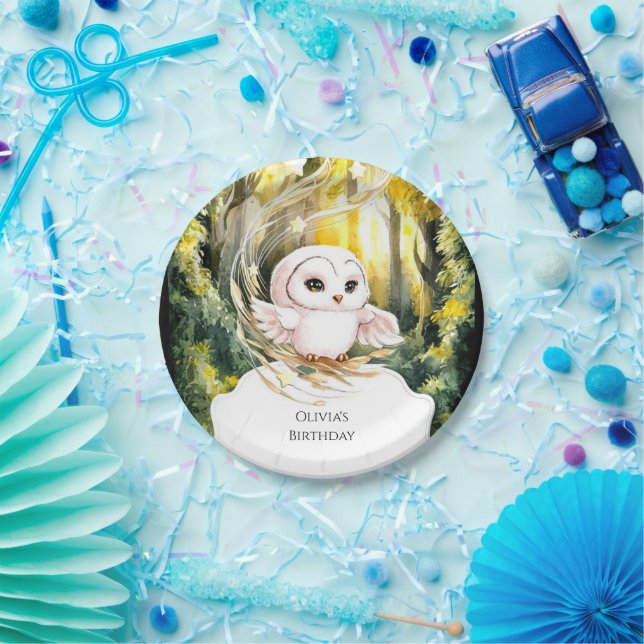 Prato De Papel Boho Owl Encantado Aniversário (Festa)