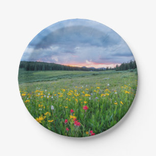 Prato De Papel Bom Dia, Meadow.