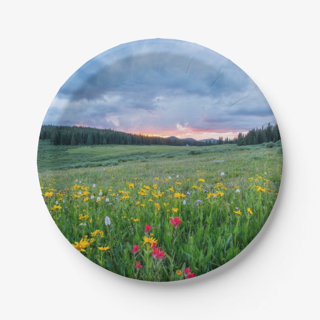 Prato De Papel Bom Dia, Meadow. (Frente)