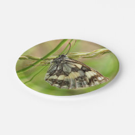 Prato De Papel Borboleta branca marmoreada na grama