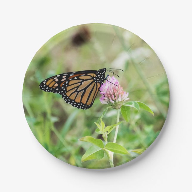 Prato De Papel Borboleta de monarca (Frente)