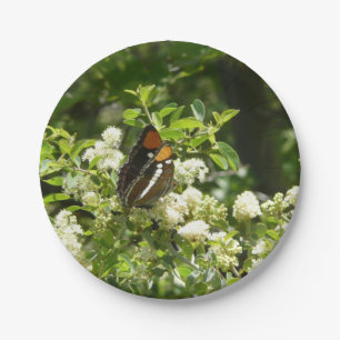 Prato De Papel Borboleta Irmã da Califórnia em Yosemite