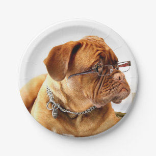 Prato De Papel Bordeaux Mastiff, Mastiff francês Bordeauxdog Gift