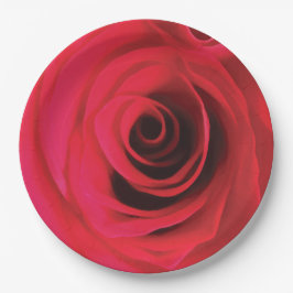 Prato De Papel Botão de rosa vermelha fogo detalhe floral