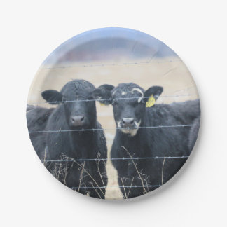 Prato De Papel Bovinos bystanders