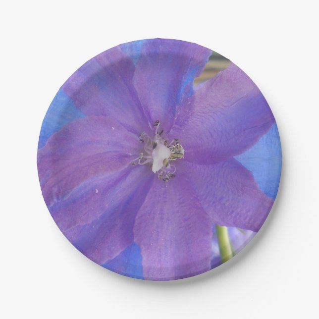 Prato De Papel Bowen (Frente)