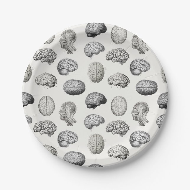Prato De Papel Brain Anatomy Biology Illustrations (Frente)