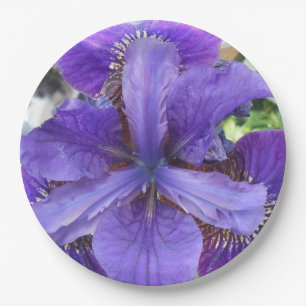 Prato De Papel Brandeis