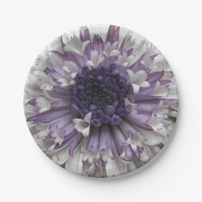 Prato De Papel Brett (Frente)