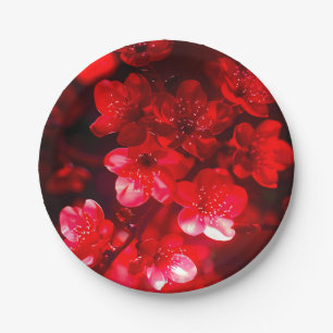 Prato De Papel Brilho do Flor de Cereja