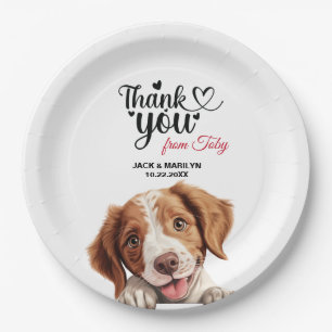 Prato De Papel Brittany Spaniel Wedding Obrigado