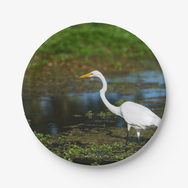 Prato De Papel Caça ao Egret (Frente)