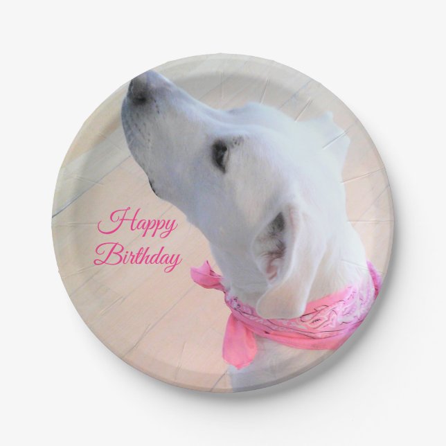 Prato De Papel Cachorro Branco-Cachorro Vestindo Scarf Rosa (Frente)