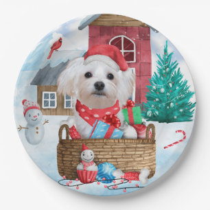 Prato De Papel Cachorro Maltês Na Casa De Cachorro De Natal Da Ne