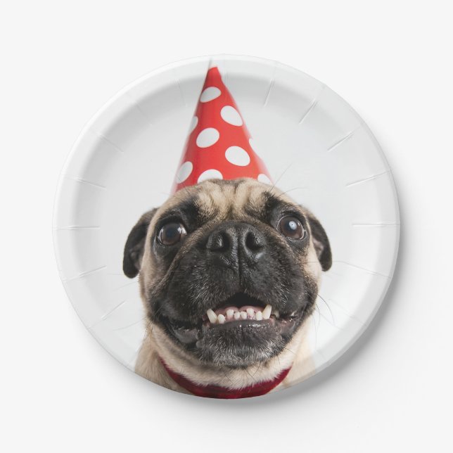 Prato De Papel Cachorro Pug Fofo de Aniversário com Chapéu Vermel (Frente)