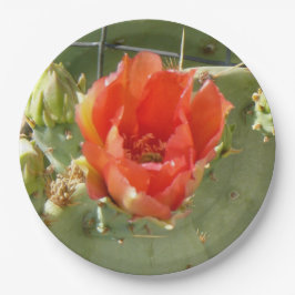Prato De Papel Cactus Tough e belas chapas de papel