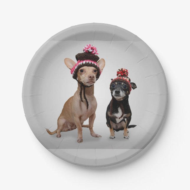 Prato De Papel Cães da chihuahua com foto dos chapéus (Frente)