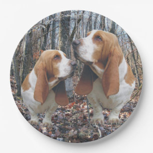 Prato De Papel Cães de Basset da floresta