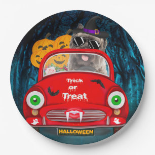Prato De Papel Cairn Terrier Dirigindo Carro Assustador Halloween