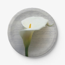 Calla Lily no script antigo