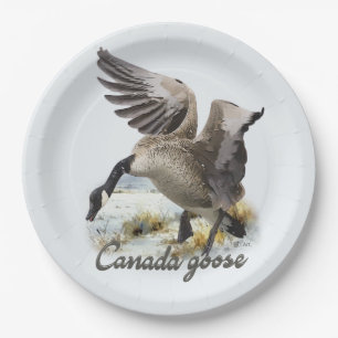 Prato De Papel Canadá Goose, Arte