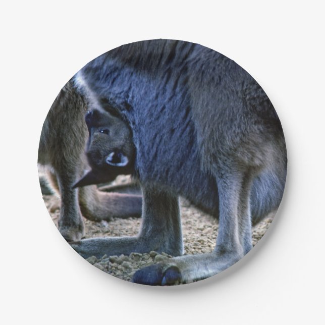 Prato De Papel Canguru bebê na bolsa da mãe - Austrália (Frente)