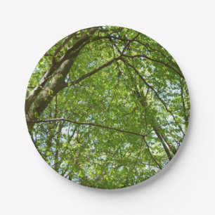 Prato De Papel Canopia de Primavera deixa cena ecológica
