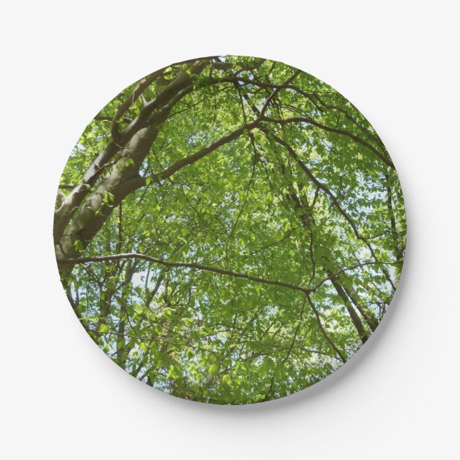 Prato De Papel Canopia de Primavera deixa cena ecológica (Frente)