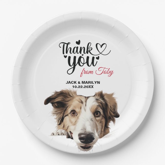 Prato De Papel Cão Borzoi (Frente)