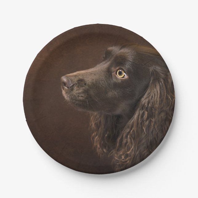 Prato De Papel Cão De Cabelo Castanho (Frente)