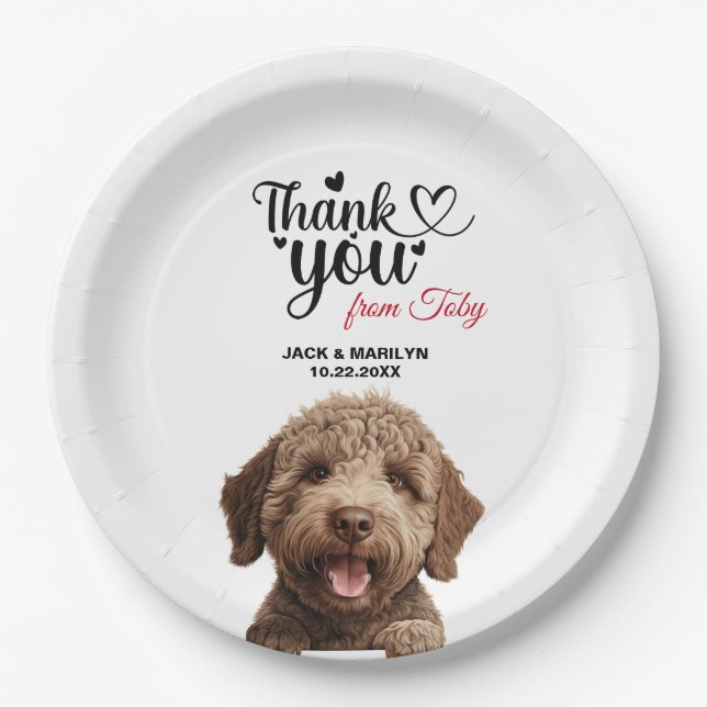 Prato De Papel Cão Lagotto Romagnoto (Frente)