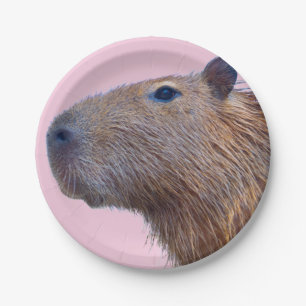 Prato De Papel Capybara