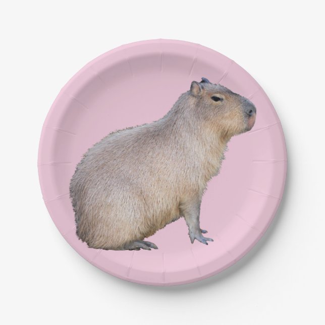 Prato De Papel Capybara (Frente)