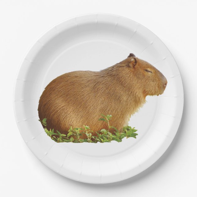 Prato De Papel capybara paper plate (Frente)