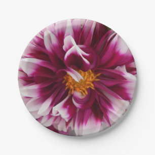 Prato De Papel Carteuserina