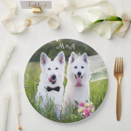 Prato De Papel Casal romântico de cães se casando
