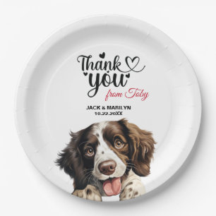 Prato De Papel Casamento Inglês Springer Spaniel Obrigado