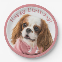 Prato De Papel Cavalier King Charles Spaniel Pink Feliz Aniversár