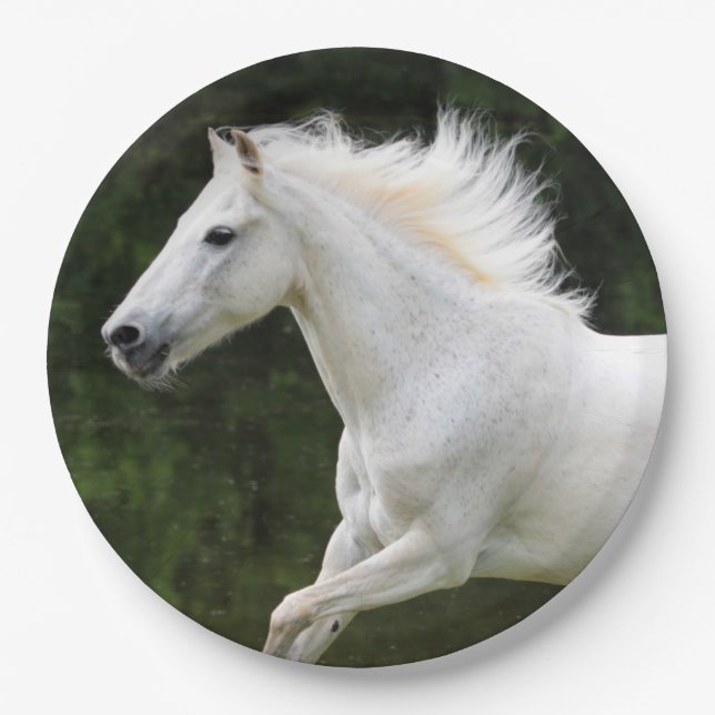 Prato De Papel Cavalo Branco Galopping (Frente)