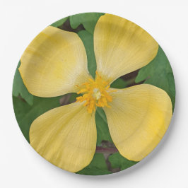 Prato De Papel Celandina Amarelo Poppy Floral