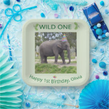Celebração do Primeiro Aniversário do Elefante Sel