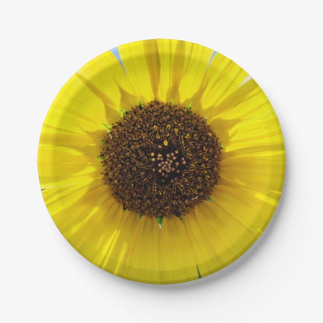 Prato De Papel Chama da manhã (Frente)