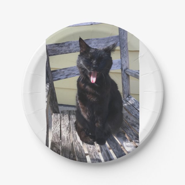 Prato De Papel Chapa de gato (Frente)