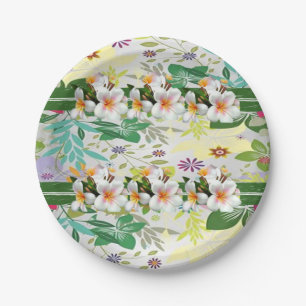 Prato De Papel Chapas de papel