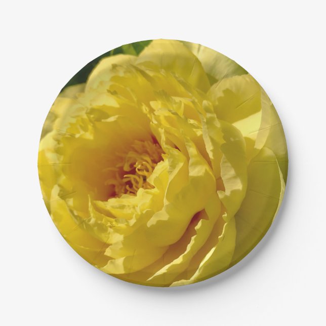 Prato De Papel Chapas de papel de 7", Peony Amarelo Duplo (Frente)