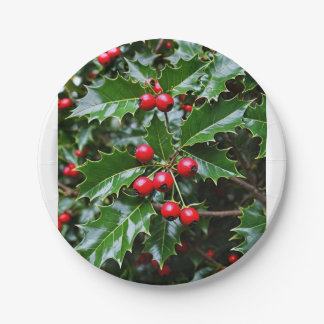 Prato De Papel Chapas de papel Holly