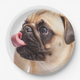 Prato De Papel Chapas de papel para cães em branco 4