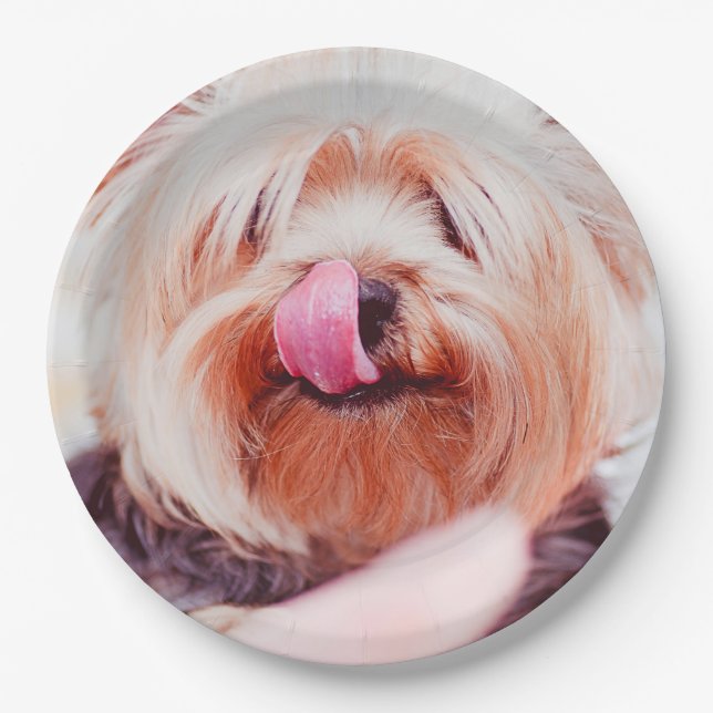 Prato De Papel Chapas de papel para cães em branco 5 (Frente)