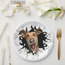 Chapas de papel para cães engraçados