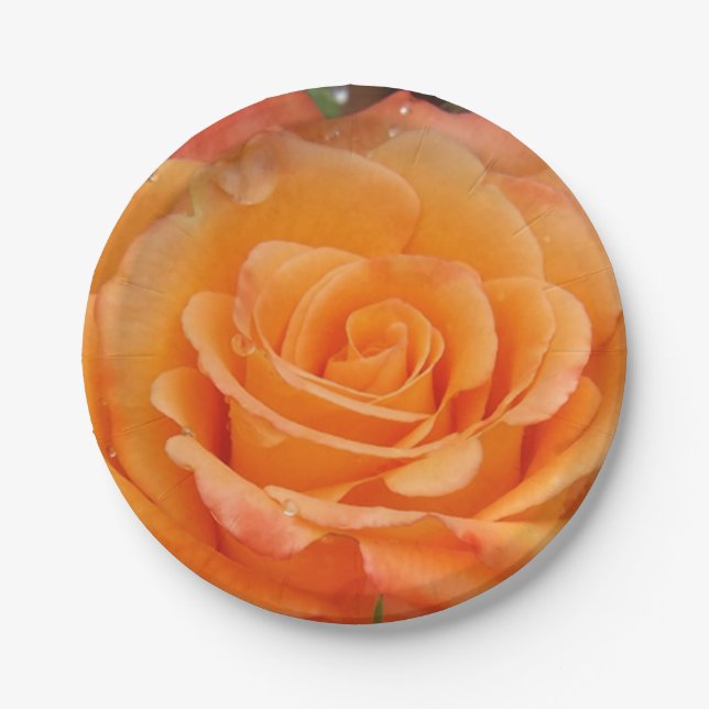 Prato De Papel Chapas de rosa laranja (Frente)